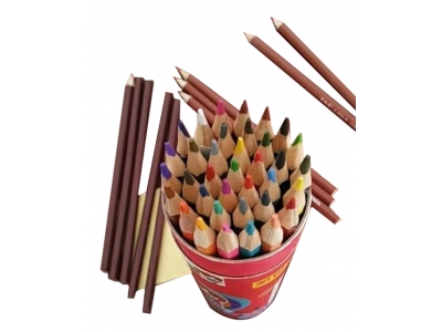 Color pencil         BDS8004