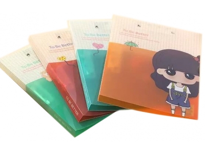 Offset Printing File Folder  BDS3020